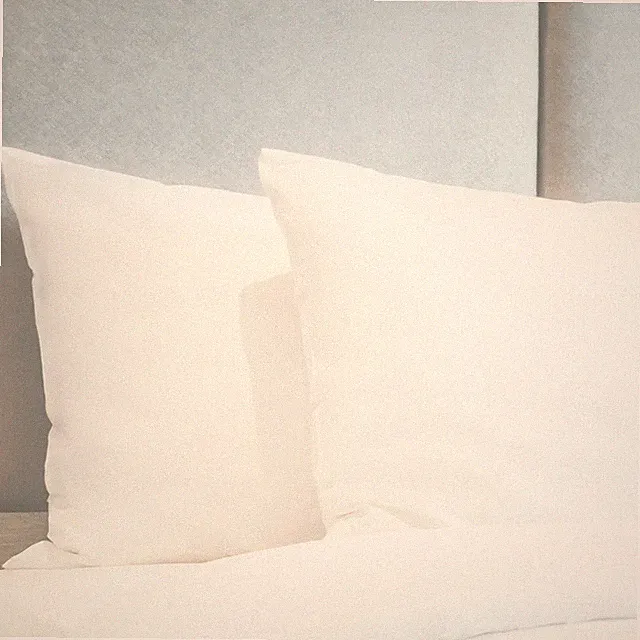 King Queen Standard Pillowcase Pillow Case Egyptian Cotton Feel 1800 Count Case