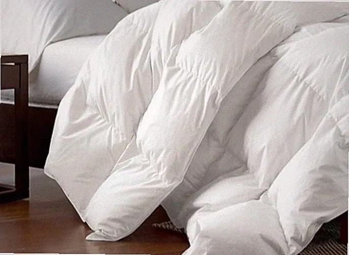 Siberian Goose Down Comforter, 100% Egyptian Cotton White (Size: Queen-90x90)